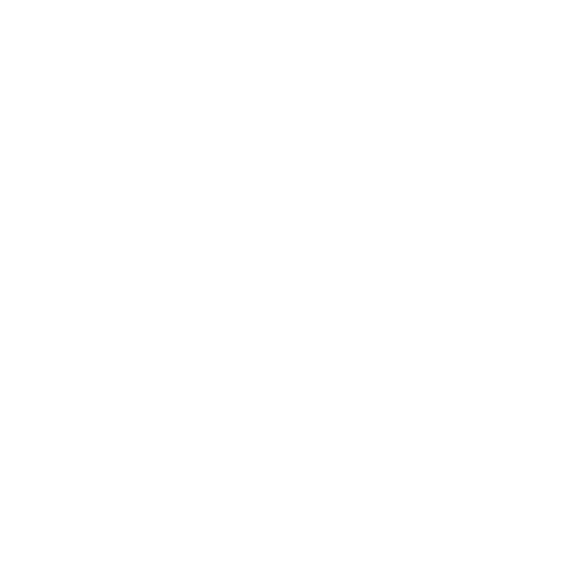 JAËL PARTNERS